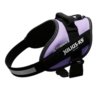 Julius K9 Arnés IDC Púrpura para perros
